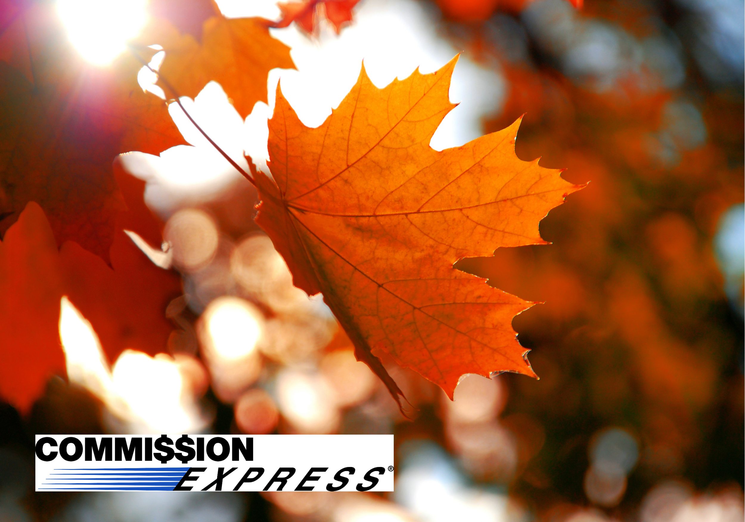 Fall into an Impressive Commission Advance: Autumn Marketing Tips