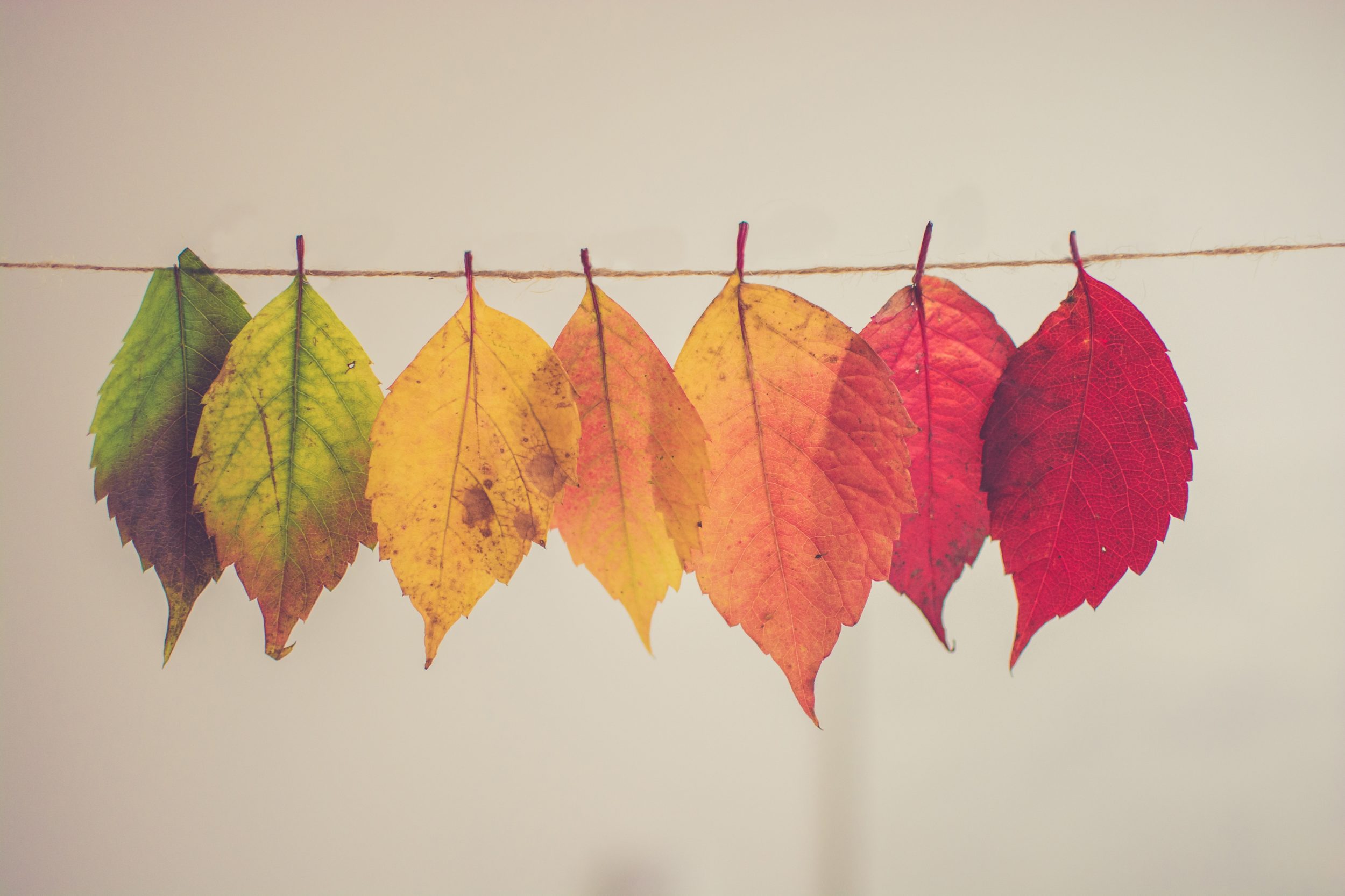 Managing Seasonality in Real Estate